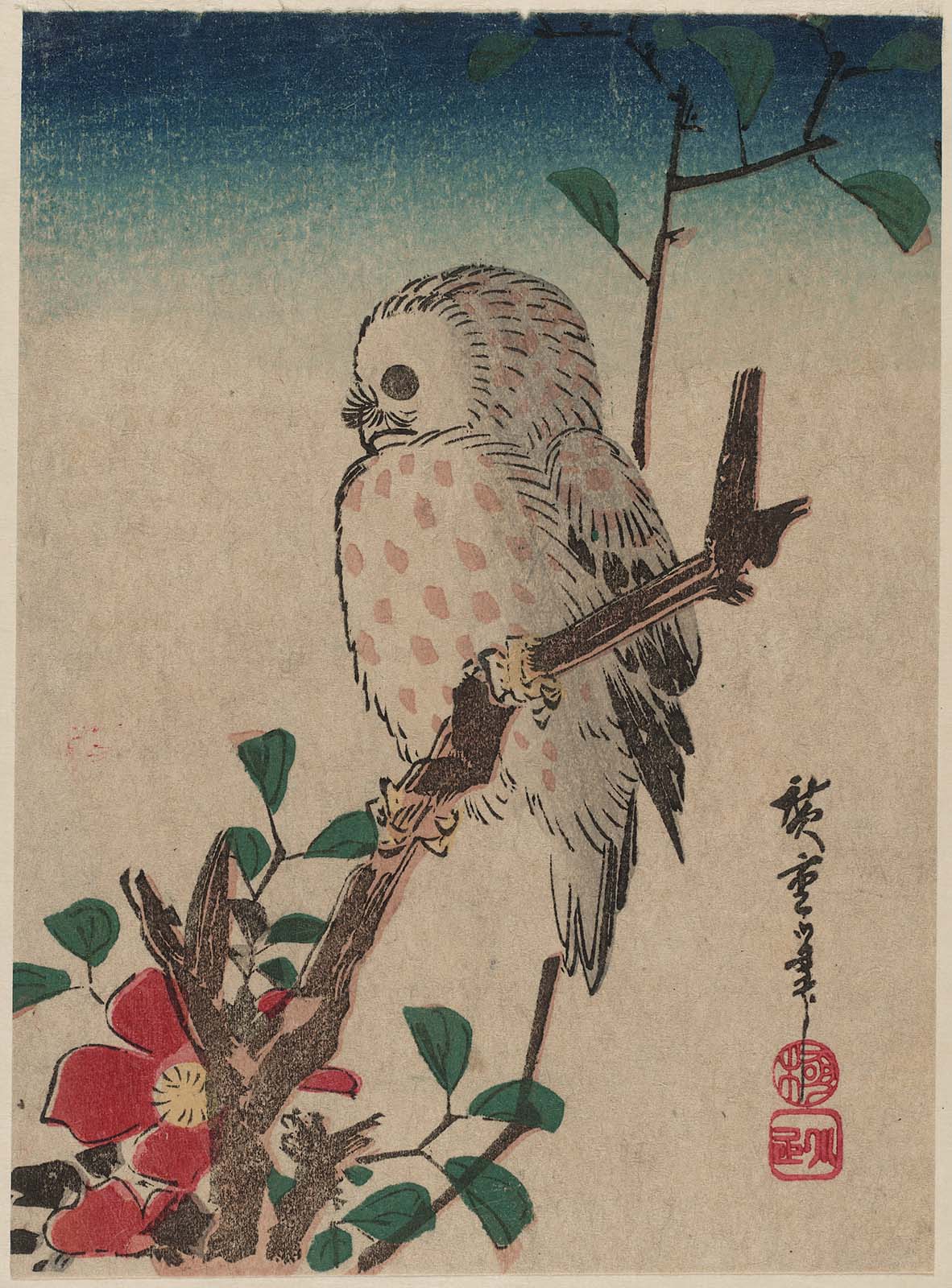 江戸の鳥 - ジャパンサーチ