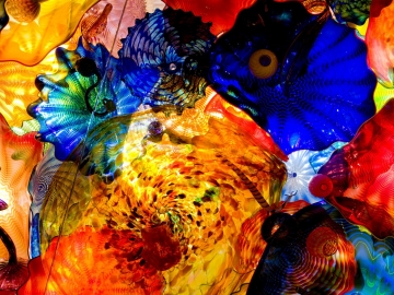 2870_deYoung_TR.jpg