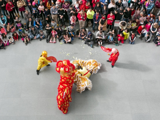 Crowd of visitors watching lion dance performance in Shapiro Family Courtyard; photograph taken from above Crowd of visitors watching lion dance performance in Shapiro Family Courtyard; photograph taken from above