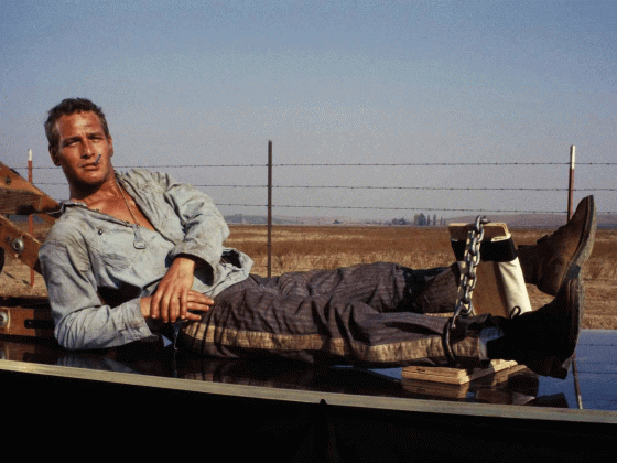 film still cool hand luke