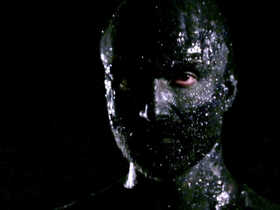 Film Still from Bearmania