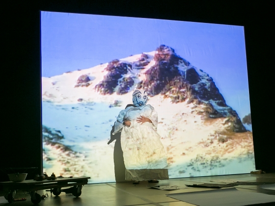 Joan Jonas, Reanimation, 2014. Photos by Shane Godfrey
