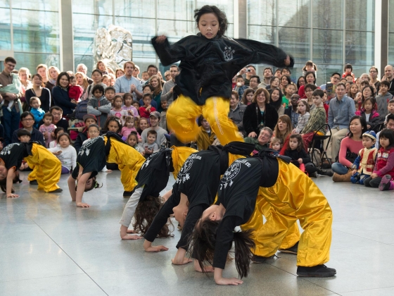 Young gong-fu student leaping on top of row of fellow performers Young gong-fu student leaping on top of row of fellow performers