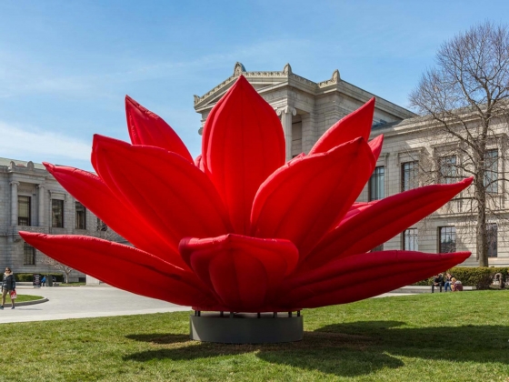 Choi Jeong Hwa, Breathing Flower, 2012