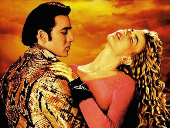 film still wild at heart