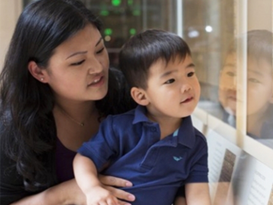 Woman holding child looking into art display case Woman holding child looking into art display case
