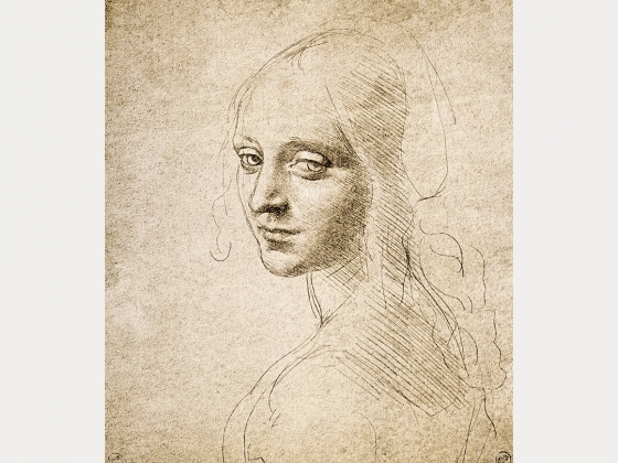 the life and arts of leonardo da vinci Year by year discussion of leonardo da vinci's life and art. the life and arts of leonardo da vinci Year by year discussion of leonardo da vinci's life and art.