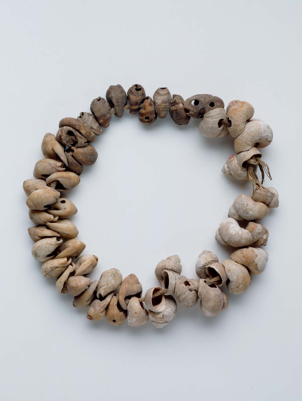 String of pierced shells Museum of Fine Arts, Boston