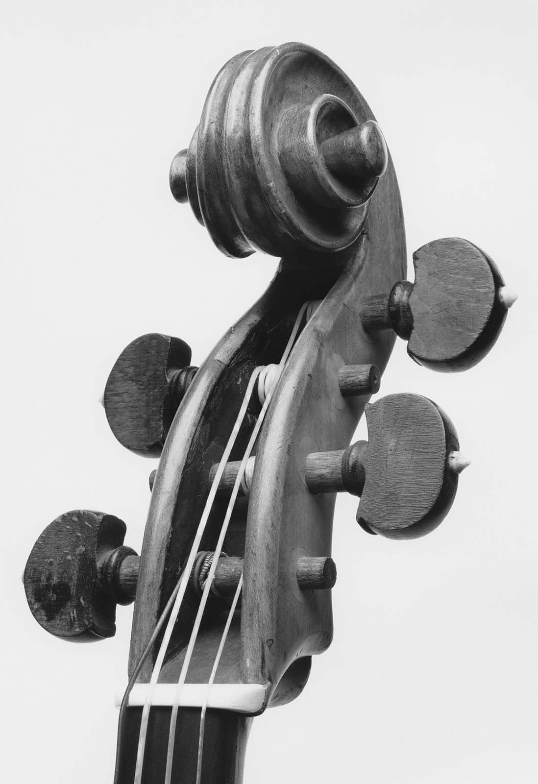 American bass viol Museum of Fine Arts, Boston