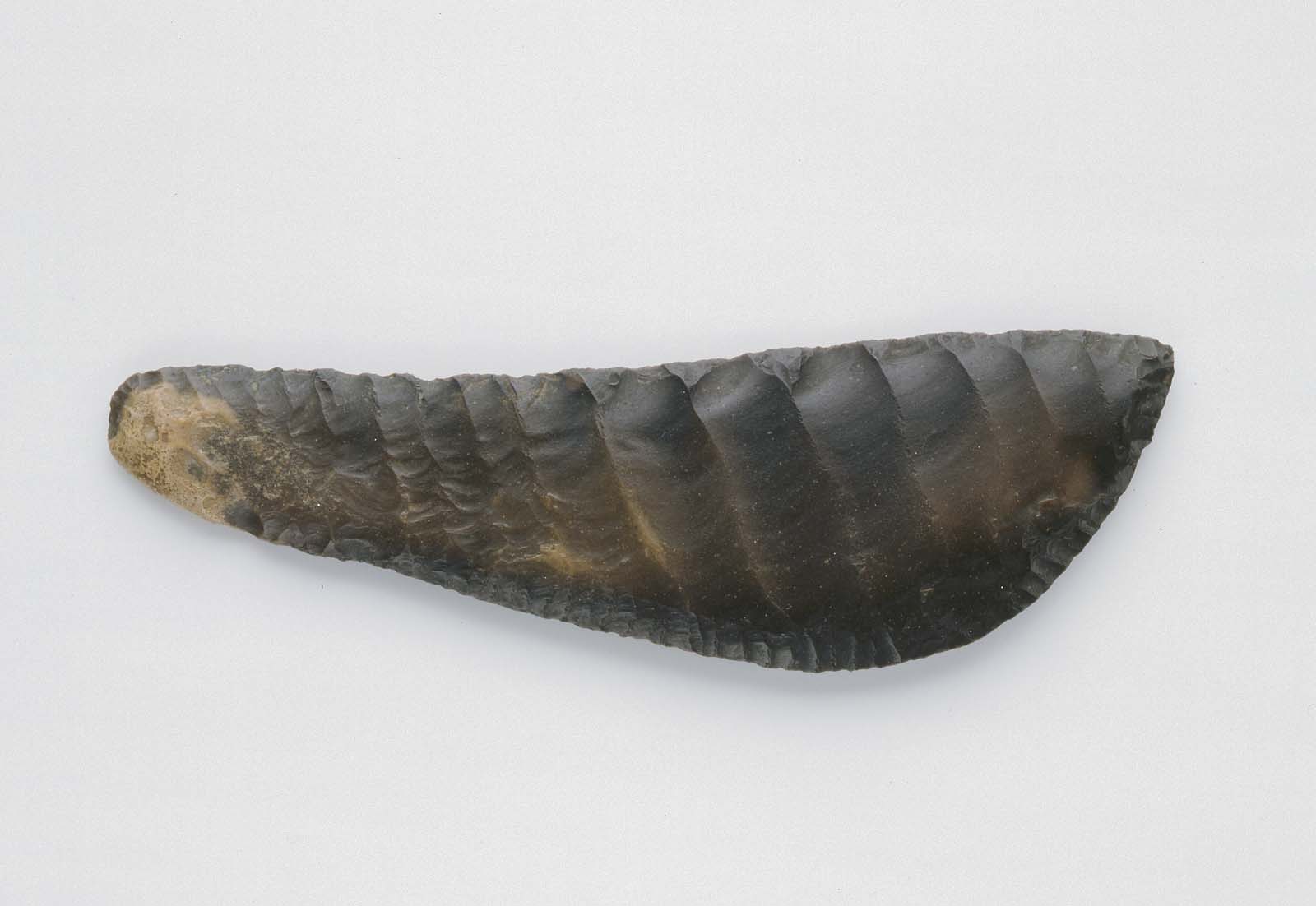 Rippled flint knife Museum of Fine Arts, Boston