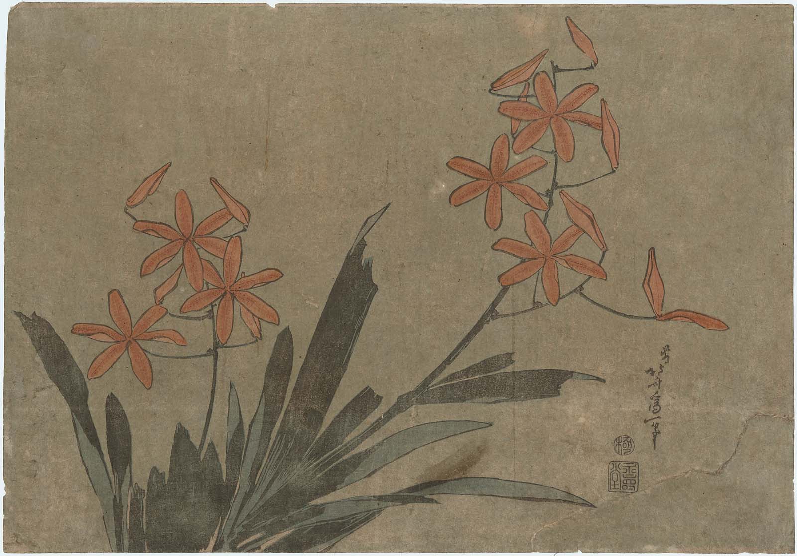 版画 オリジナル版画 無款 真贋保証 原書房(神田) 玉屋 花紫