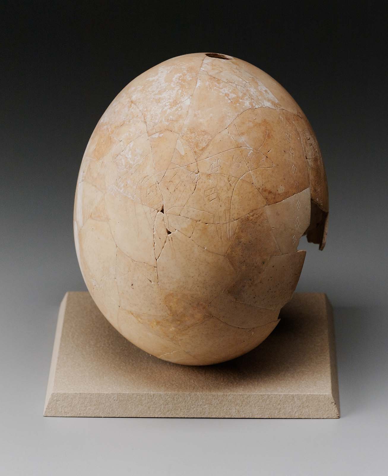 Decorated ostrich egg Museum of Fine Arts, Boston