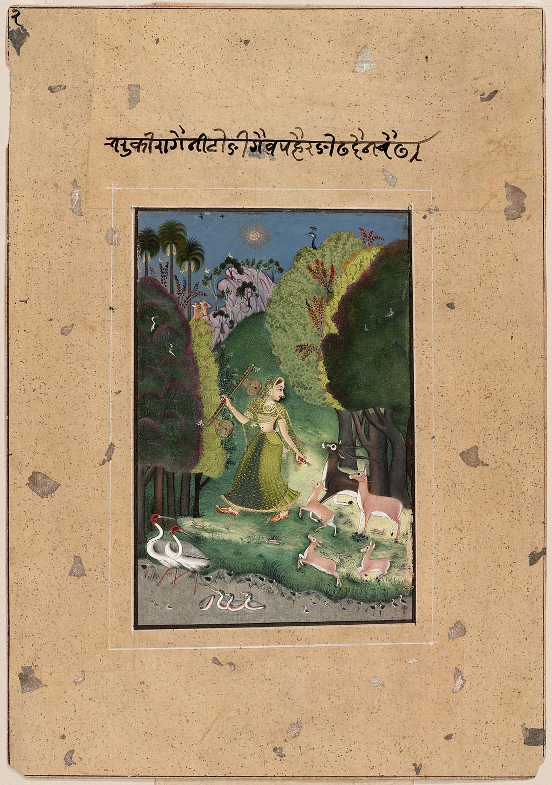todi-ragini-museum-of-fine-arts-boston