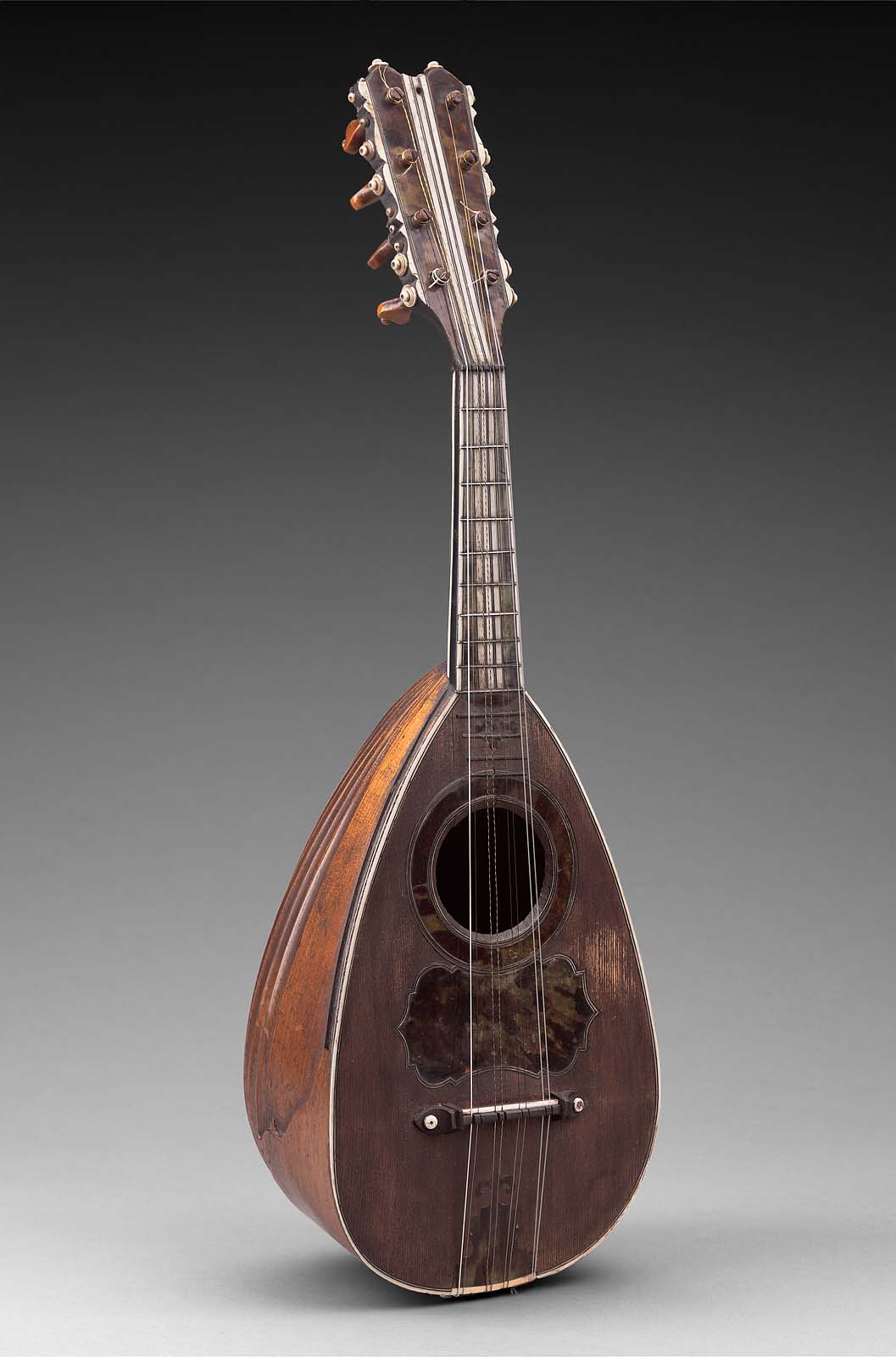 Lutes, Guitars, and Related Instruments Museum of Fine Arts, Boston