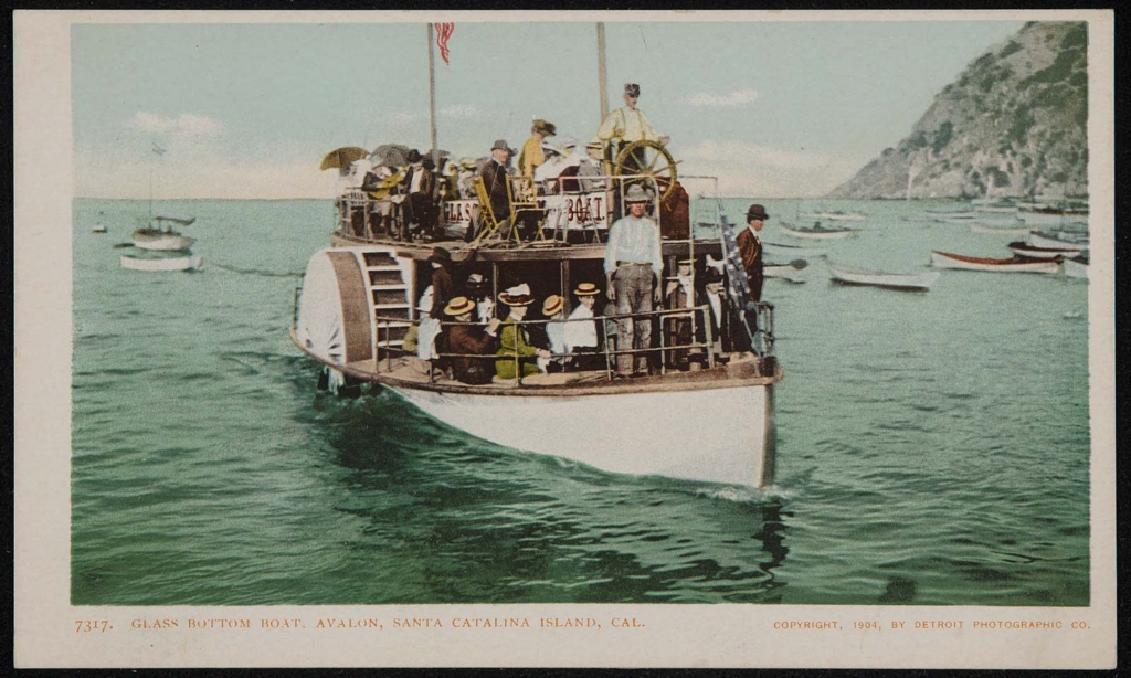 Opinion glass bottom boat catalina island quite Glass bottom boat catalina island variant can