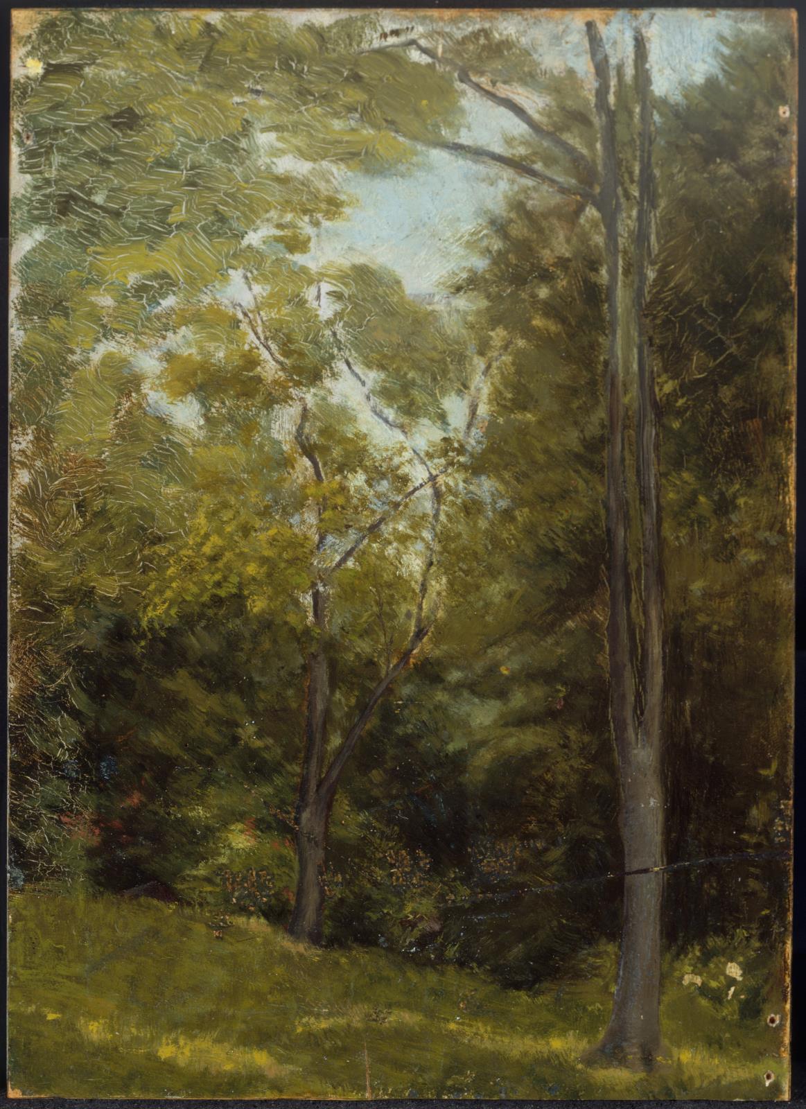 Landscape Museum of Fine Arts, Boston
