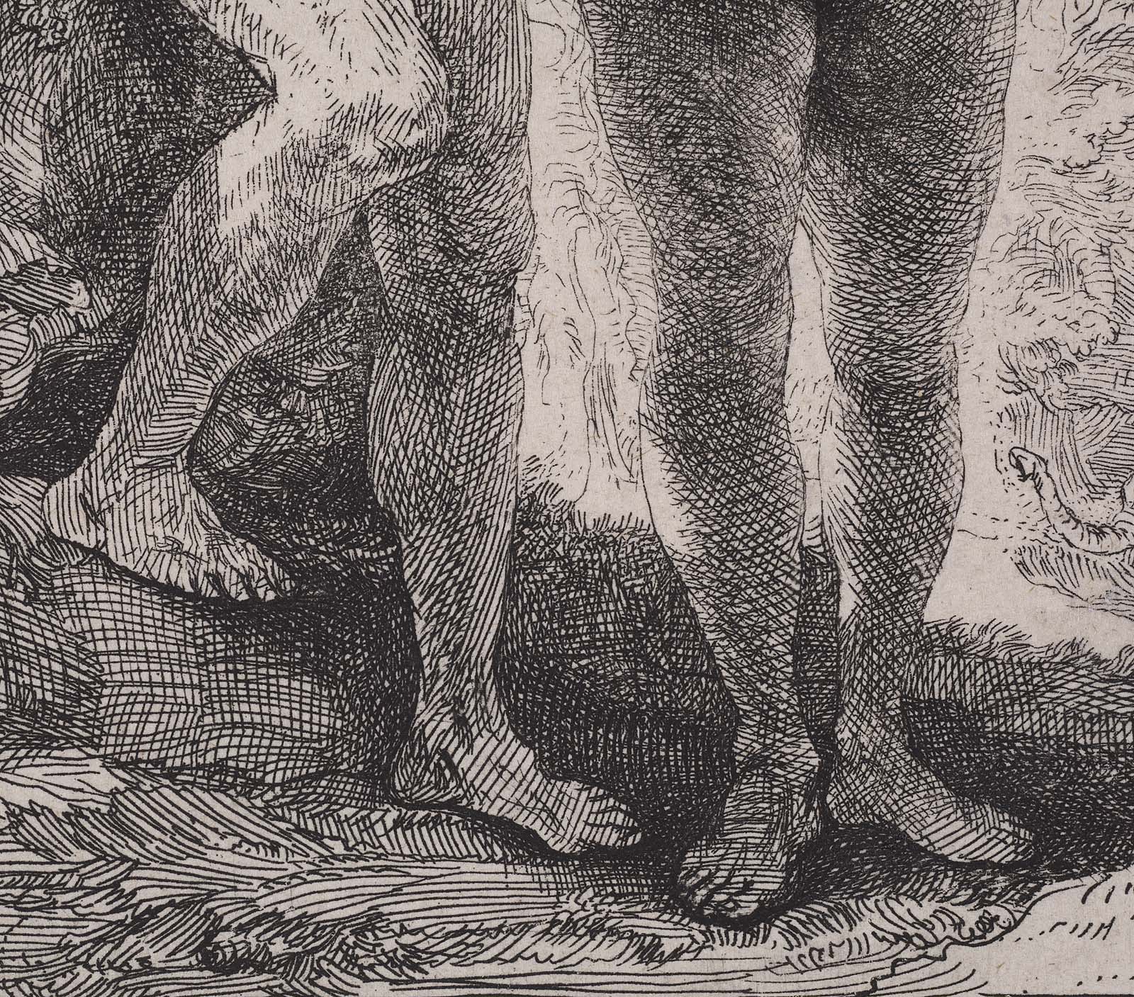 Adam and Eve Museum of Fine Arts, Boston