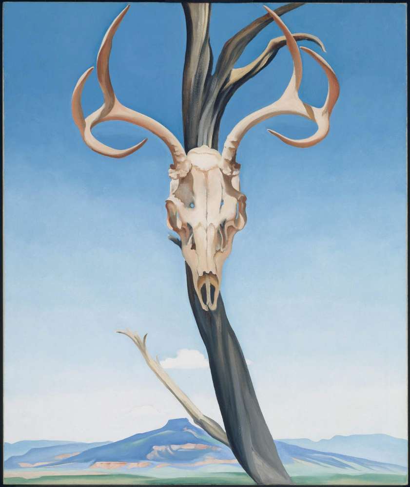 Image result for o'keeffe deer's skull