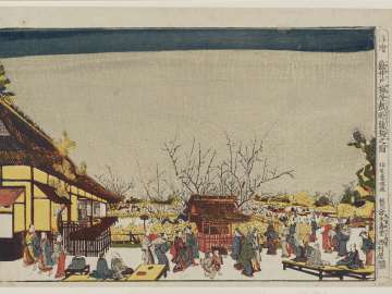 Perspective Picture of the Sleeping Dragon Plum in the Plum Garden at