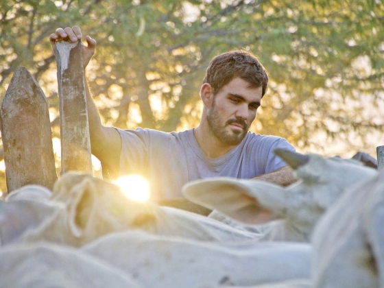 Film Still from Neon Bull