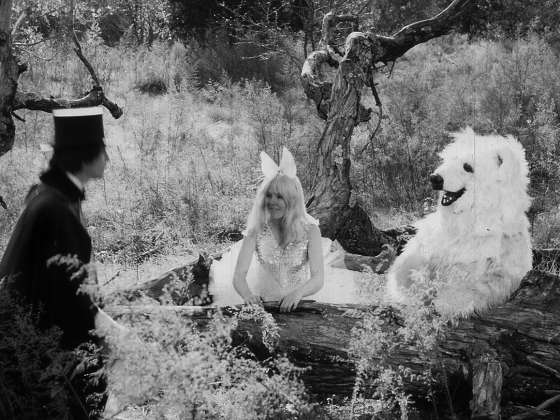 films still plastic dome of norma jean
