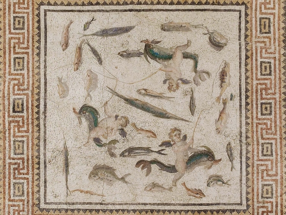 Marine Mosaic, 200-230 Marine Mosaic, 200-230