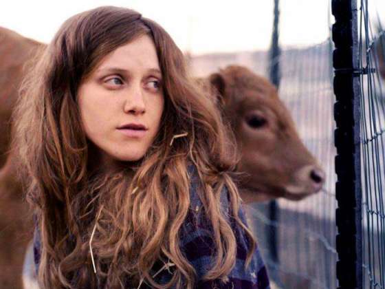 Film Still: Red Cow