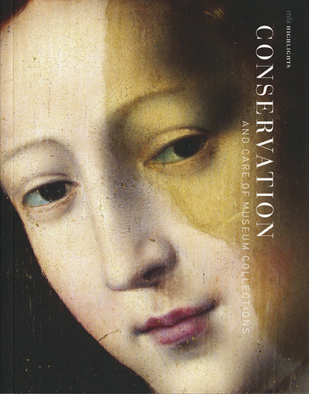 Conservation And Care Of Museum Collections Museum Of Fine Arts Boston Conservation And Care Of Museum Collections Museum Of Fine Arts Boston